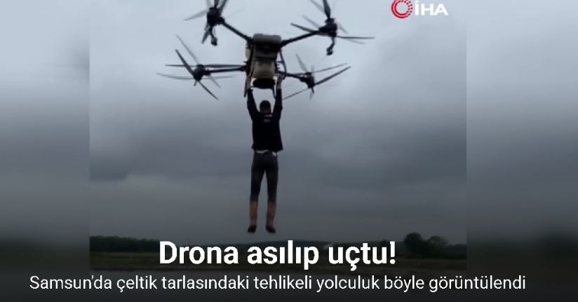 Çeltik tarlasında tehlikeli yolculuk: Drona asılıp uçtu