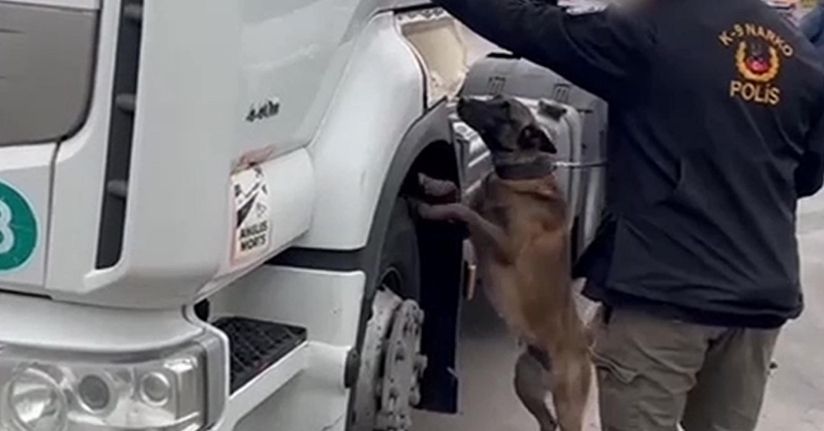 TIR'da 53 kilo skunk ele geçirildi; 2 gözaltı