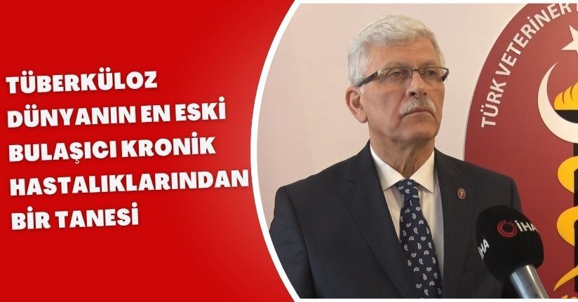 Tüberküloz, dünyanın en eski bulaşıcı kronik hastalıklarından bir tanesi