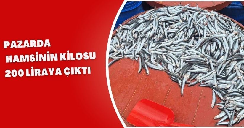 Pazarda hamsinin kilosu 200 liraya çıktı