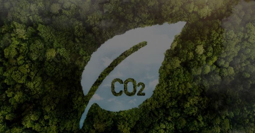 Toplam sera gazı emisyonu 2024 yılında 584,5 milyon ton karbondioksit eş değeri oldu