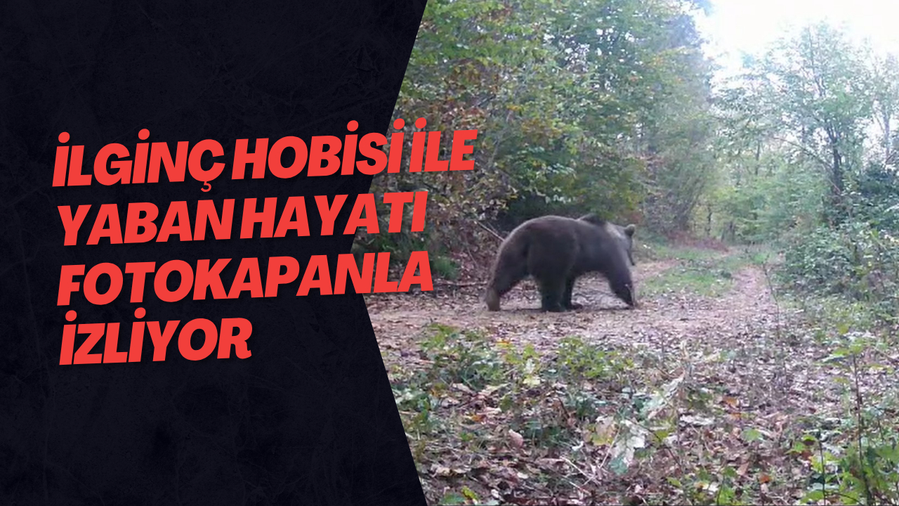 İlginç Hobisi İle Yaban Hayatı Fotokapanla İzliyor