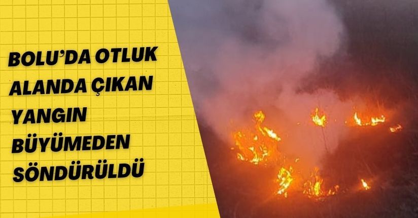 Bolu’da otluk alanda çıkan yangın büyümeden söndürüldü
