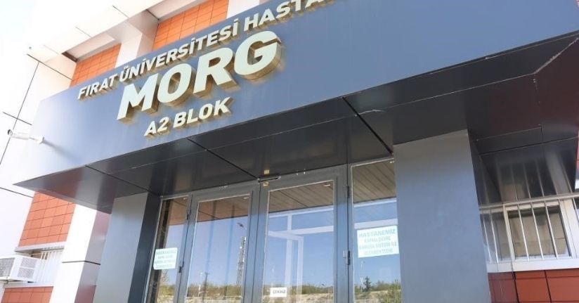 Yeğeni tarafından darbedilen yaşlı adam hayatını kaybetti