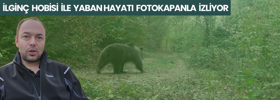 İlginç Hobisi İle Yaban Hayatı Fotokapanla İzliyor