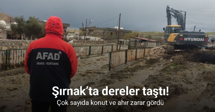 Şırnak’ta dereler taştı: Çok sayıda konut ve ahır zarar gördü