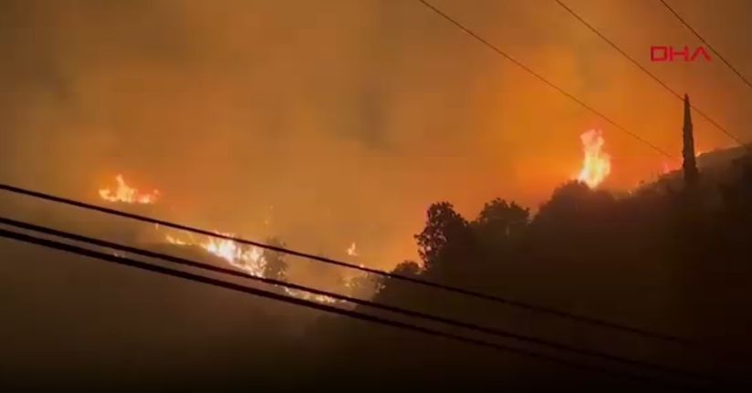  2025'te ihmal, dikkatsizlik, kasıt ve kazadan 1933 orman yangını çıktı