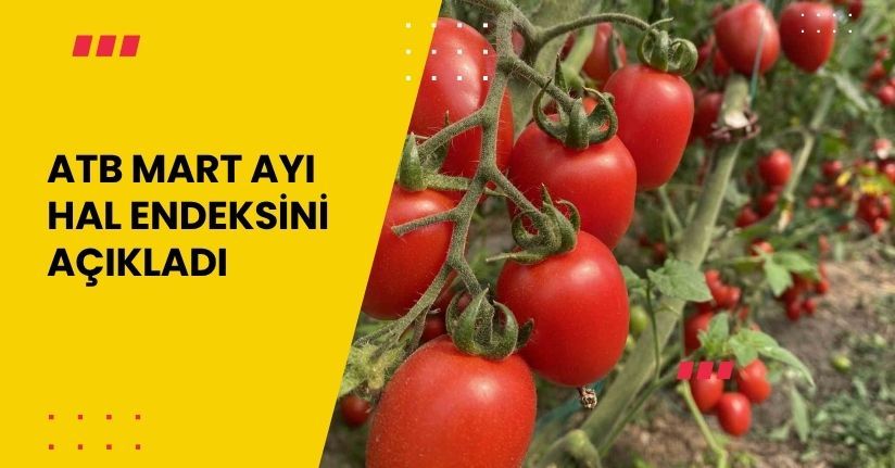 ATB mart ayı hal endeksini açıkladı