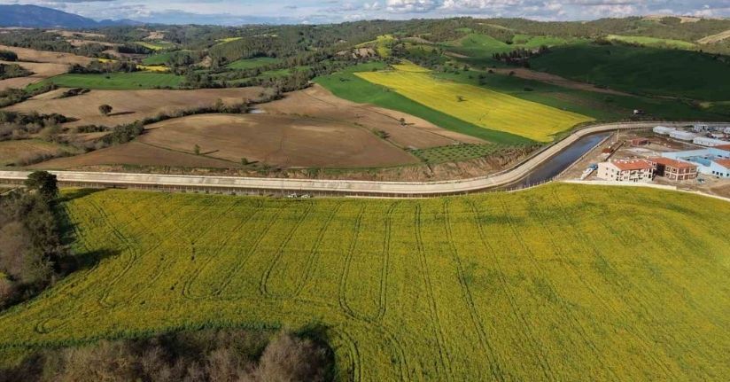Devlet destekli kanola üretimi Adanalı çiftçinin yüzünü güldürdü