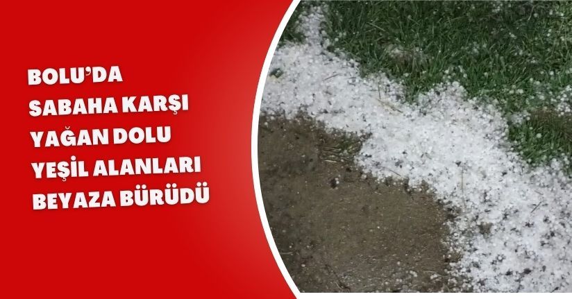 Bolu’da sabaha karşı yağan dolu yeşil alanları beyaza bürüdü