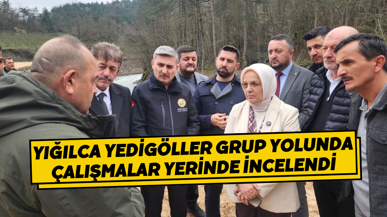 Yığılca Yedigöller Grup Yolunda Çalışmalar Yerinde İncelendi