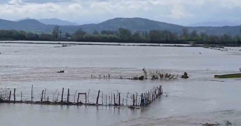 Meriç Nehri taştı, sular yollara ulaştı
