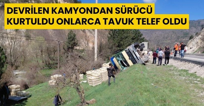 Devrilen kamyondan sürücü kurtuldu, onlarca tavuk telef oldu
