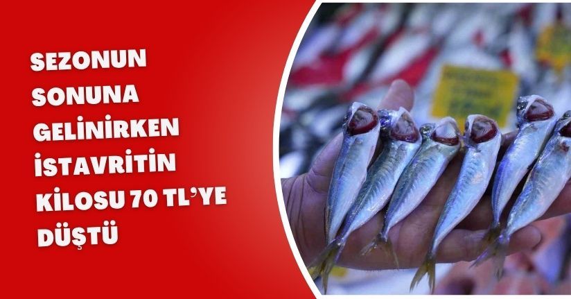 Sezonun sonuna gelinirken istavritin kilosu 70 TL’ye düştü