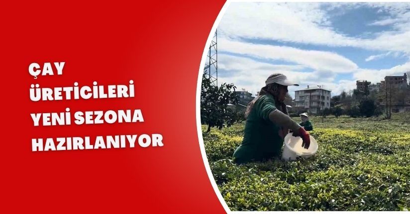 Çay üreticileri yeni sezona hazırlanıyor