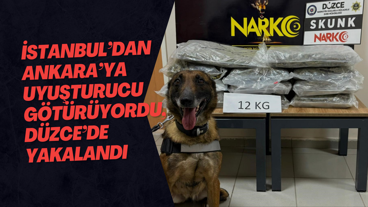 İstanbul’dan Ankara’ya Uyuşturucu Götürüyordu, Düzce’de Yakalandı
