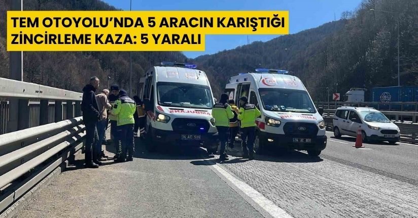 TEM Otoyolu’nda 5 aracın karıştığı zincirleme kaza: 5 yaralı