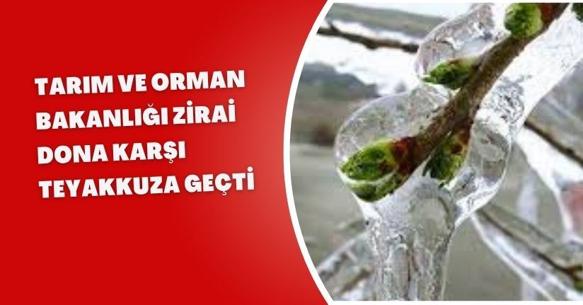 Tarım ve Orman Bakanlığı zirai dona karşı teyakkuza geçti