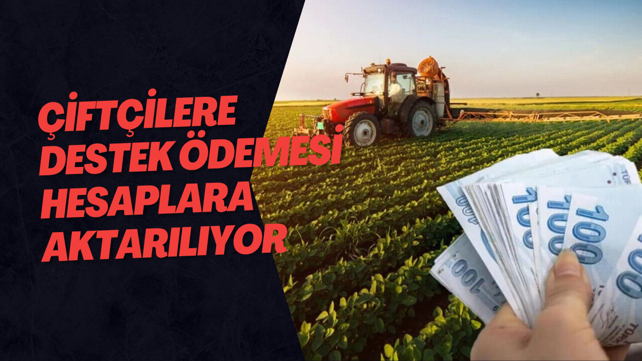 Çiftçilere Destek Ödemesi Hesaplara Aktarılıyor
