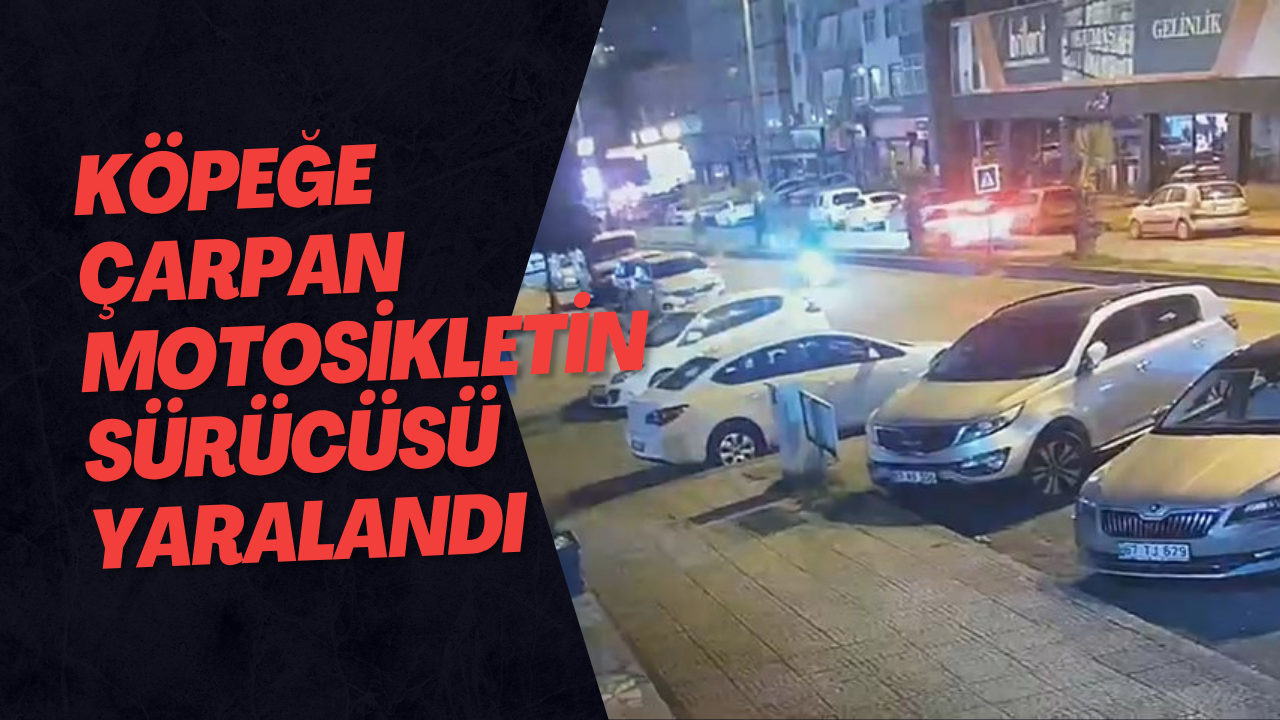 Köpeğe Çarpan Motosikletin Sürücüsü Yaralandı