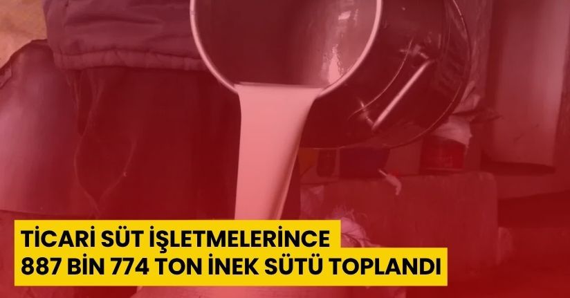Ticari süt işletmelerince 887 bin 774 ton inek sütü toplandı