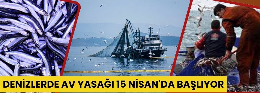 Denizlerde av yasağı 15 Nisan'da başlıyor
