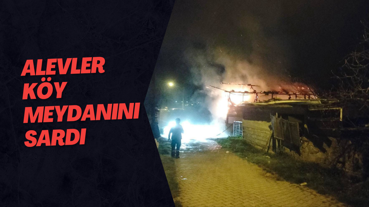 Alevler Köy Meydanını Sardı