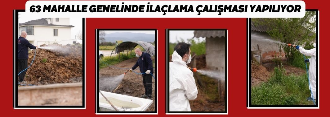 Düzce'de daha uçmadan bitirmek için mücadele başladı