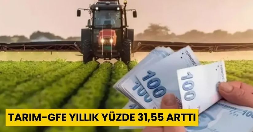Tarım-GFE yıllık yüzde 31,55 arttı