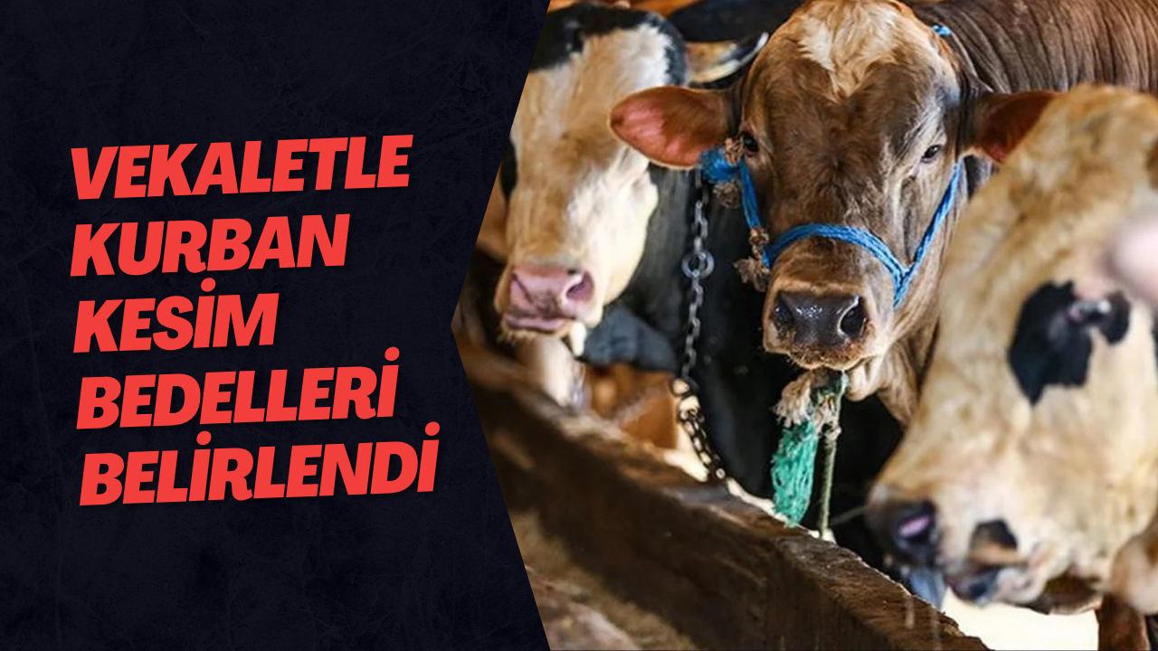Vekaletle Kurban Kesim Bedelleri Belirlendi