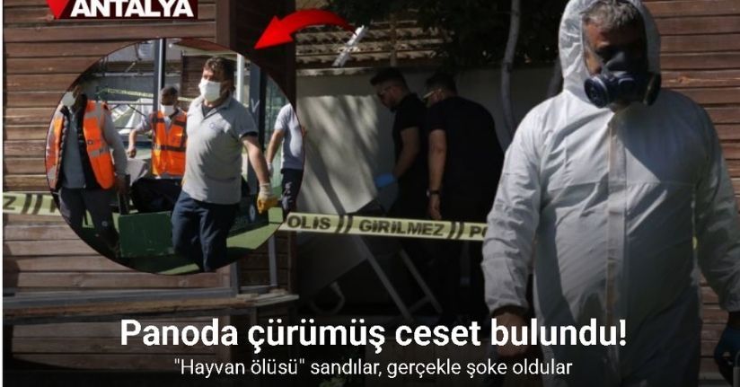 Kötü kokudan şüphelenerek baktıkları reklam panosundan tanınmayacak halde ceset çıktı