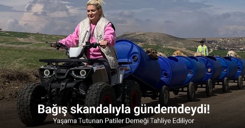 Ankara’da kira borcunu ödemeyen Yaşama Tutunan Patiler Derneği hakkında tahliye kararı