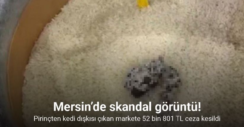 Mersin’de skandal görüntü: Pirinçten kedi dışkısı çıkan markete ceza