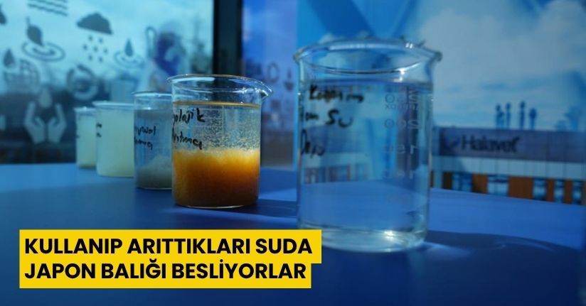 Kullanıp arıttıkları suda Japon balığı besliyorlar