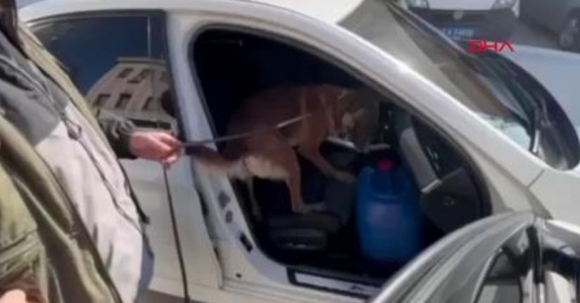 Gaziantep’te 10 kilo metamfetamin ele geçirildi