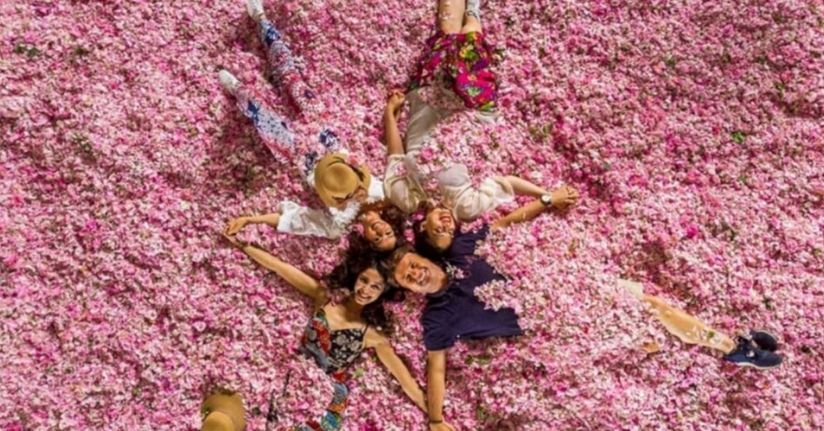 Isparta’da gül hasadı öncesi umutlar arttı: 13 bin ton rekolte bekleniyor