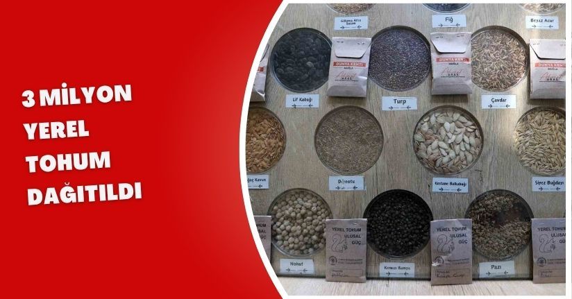 3 milyon yerel tohum dağıtıldı
