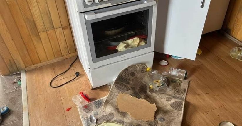 Kış uykusu bitti, ayı istilası başladı