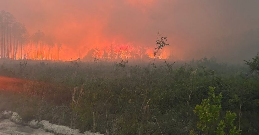 ABD'de orman yangınlarında 120'den fazla ev yandı