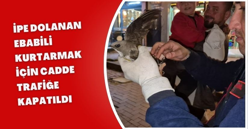 İpe dolanan ebabili kurtarmak için cadde trafiğe kapatıldı