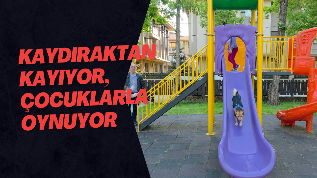 Kaydıraktan Kayıyor, Çocuklarla Oynuyor