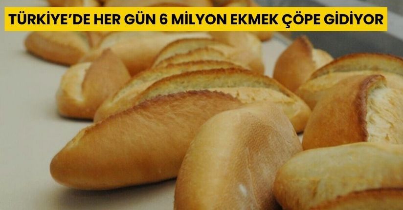 Türkiye’de her gün 6 milyon ekmek çöpe gidiyor