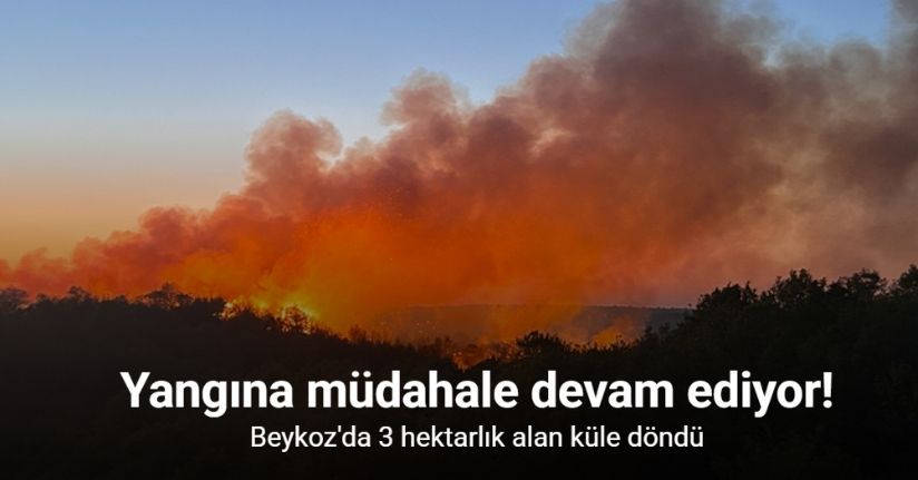 Beykoz'da 3 hektarlık alan küle döndü: Yangına müdahale devam ediyor