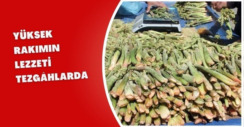 Yüksek rakımın lezzeti tezgâhlarda