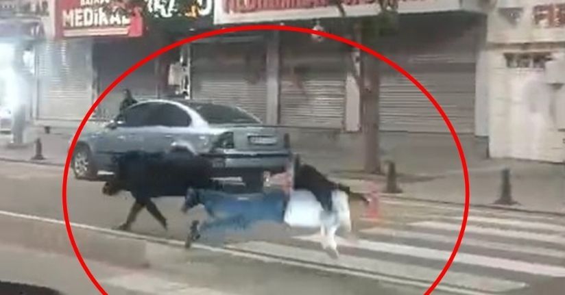 Kent merkezine inen yaban domuzu, 3 kişiyi yaraladı