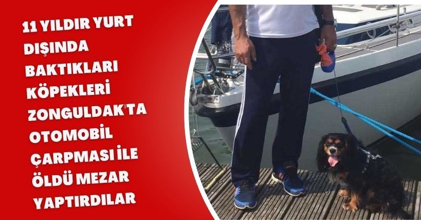 11 yıldır yurt dışında baktıkları köpekleri Zonguldak'ta otomobil çarpması ile öldü; mezar yaptırdılar