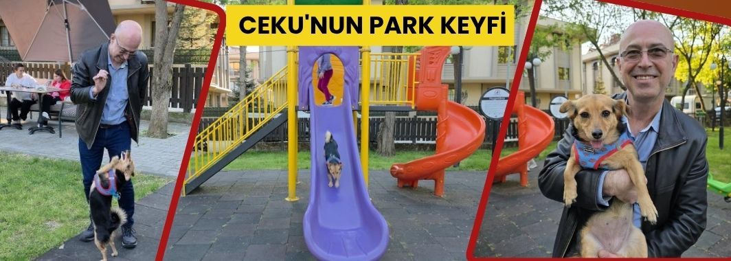 Kaydıraktan Kayıyor, Çocuklarla Oynuyor