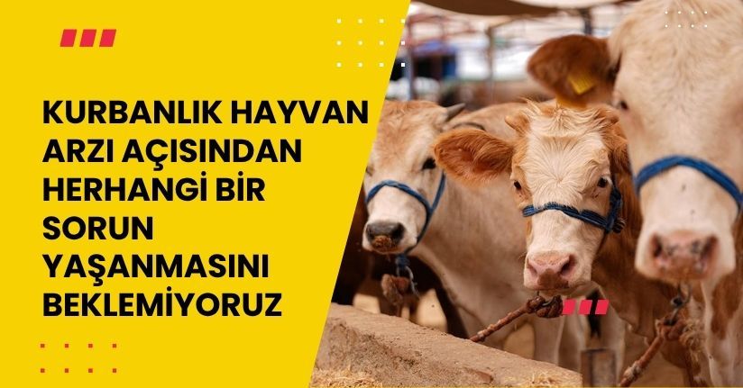 Kurbanlık hayvan arzı açısından herhangi bir sorun yaşanmasını beklemiyoruz