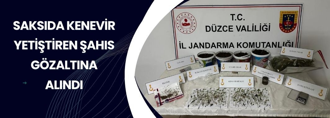 Saksıda Kenevir Yetiştiren Şahıs Gözaltına Alındı