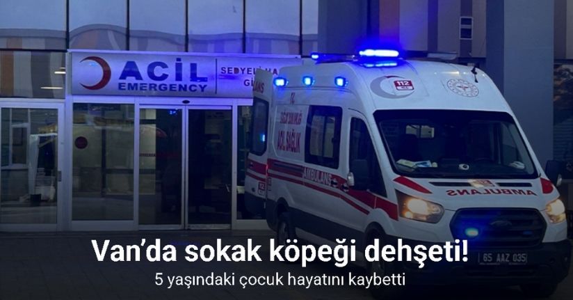 Van’da köpeklerin saldırdığı 5 yaşındaki çocuk hayatını kaybetti